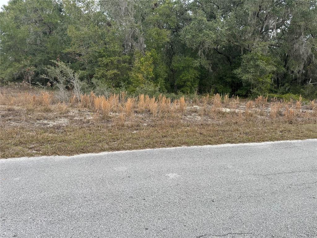 A paved road runs along the front of a vacant, grassy lot with wooded background — SW SHOREWOOD DRIVE, DUNNELLON, FL