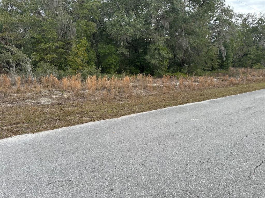 A paved road runs alongside a vacant, grassy lot bordered by a line of trees — SW SHOREWOOD DRIVE, DUNNELLON, FL
