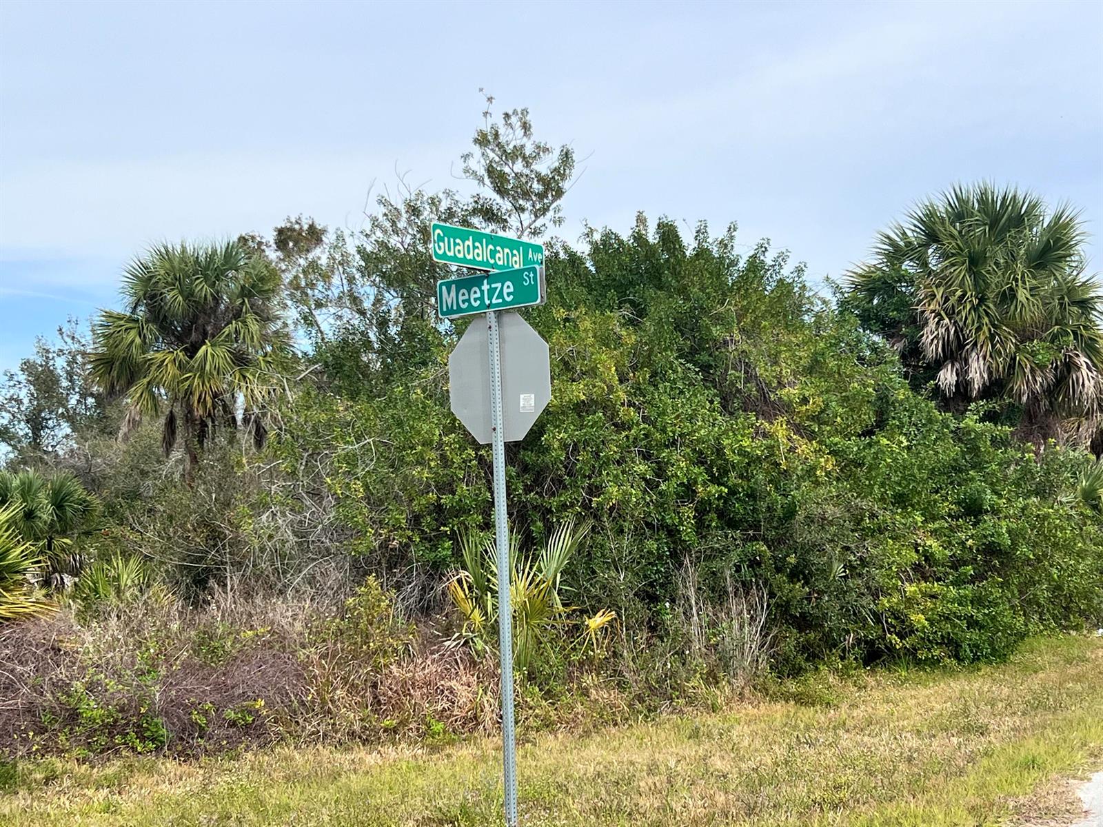 A street sign for Guadalcanal Avenue and Meetze Street stands in front of dense foliage — 2135 Meetze Street, FL 33953, FL