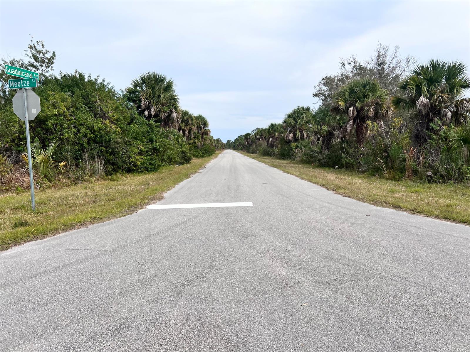 A paved road stretches into the distance, flanked by dense vegetation and palm trees — 2135 Meetze Street, FL 33953, FL