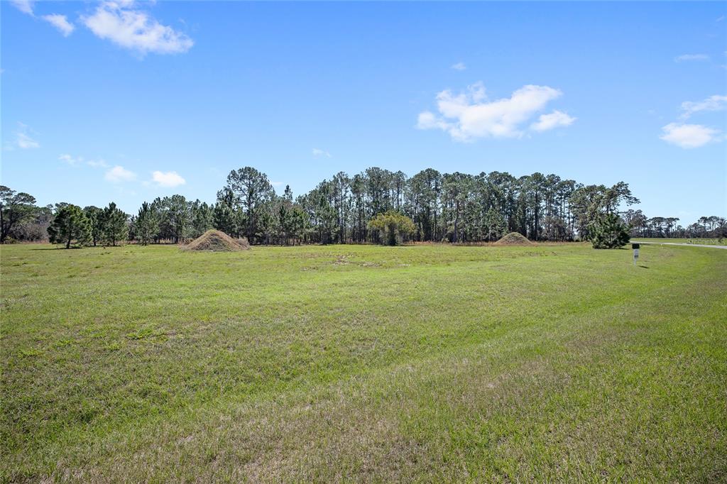 A large, grassy vacant lot features scattered dirt mounds and a line of trees — 38514 WOODED MEADOW DRIVE, UMATILLA, FL
