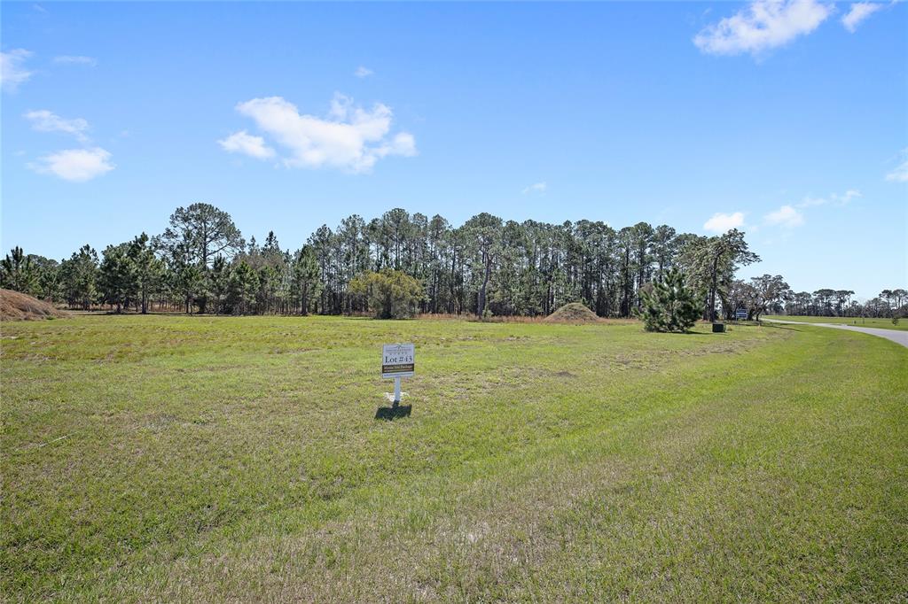A grassy vacant lot with a sign marked Lot 43 sits before a line of trees — 38514 WOODED MEADOW DRIVE, UMATILLA, FL