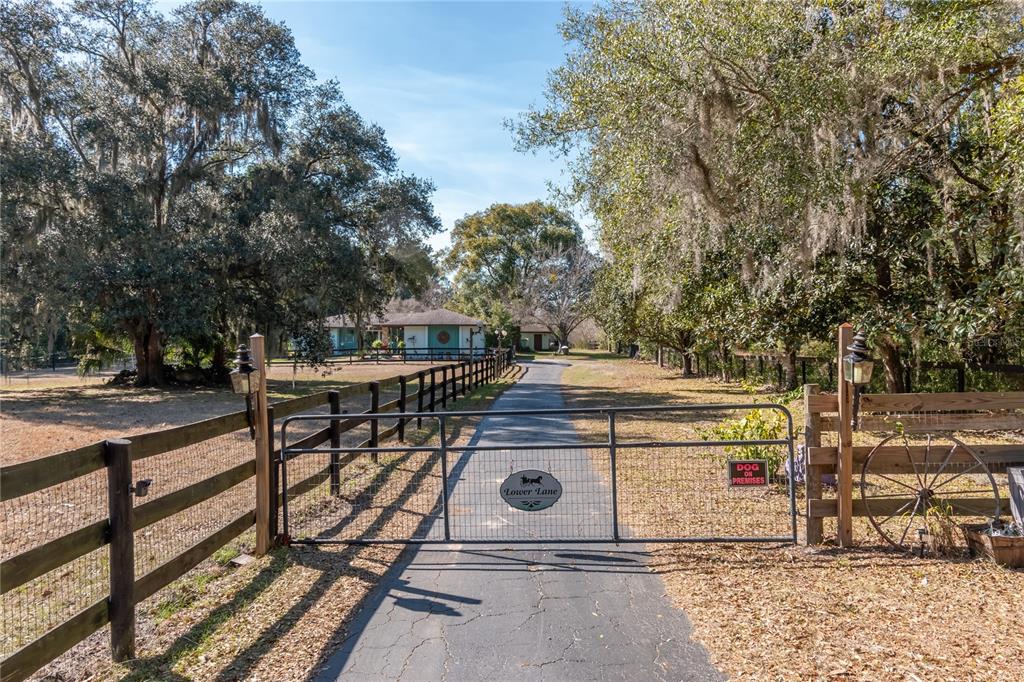 A paved driveway leads through a metal gate toward a house surrounded by large trees — 26 WOOD RIDGE DRIVE, OCALA, FL