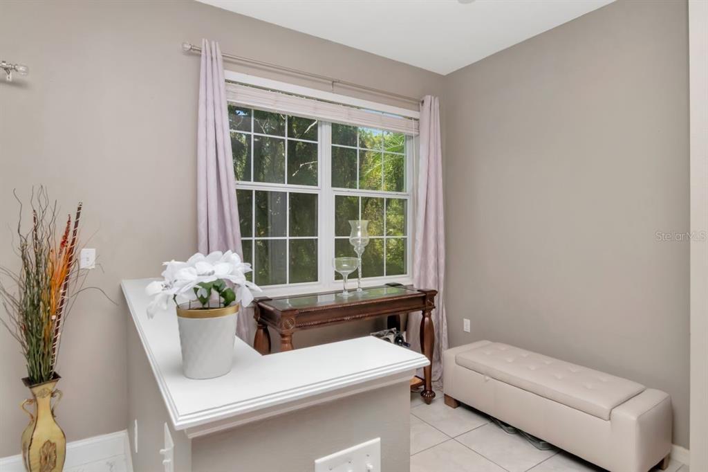 8880 MOONLIT MEADOWS LOOP, RIVERVIEW, FL — photo 4 of 30
