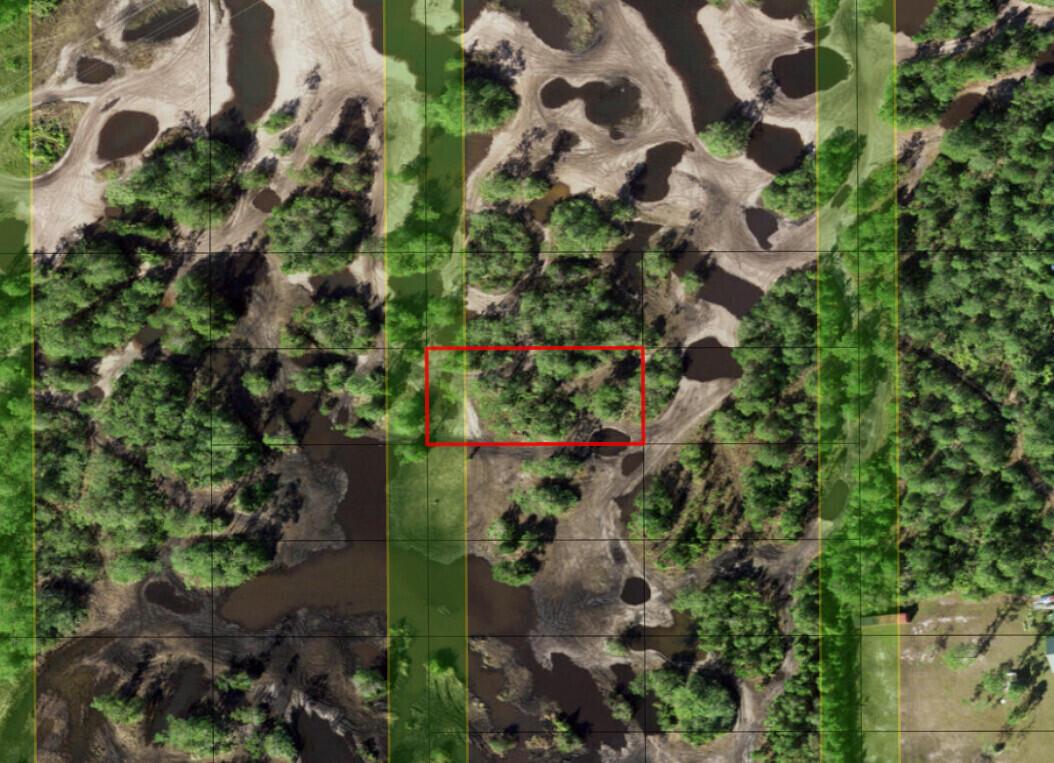 This is an aerial map view of a wooded, partially flooded plot of land — 0 Holopaw Groves Road, FL 34772, FL