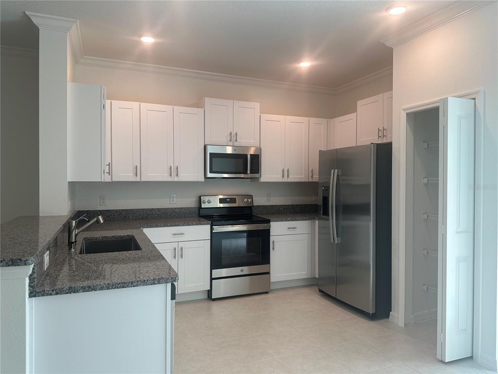 A kitchen with white cabinets, granite countertops, stainless steel appliances, and a walk-in pantry — 17664 NECTAR FLUME DRIVE, LAND O LAKES, FL