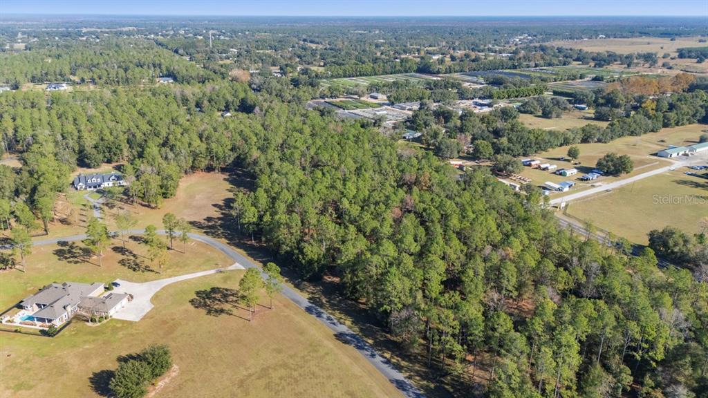24238 DEEP SPRINGS LOOP, EUSTIS, FL — photo 5 of 10