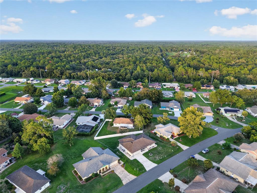 An aerial view shows a suburban neighborhood with single-family homes surrounded by trees and greenery — 3705 N HONEYLOCUST DRIVE, BEVERLY HILLS, FL