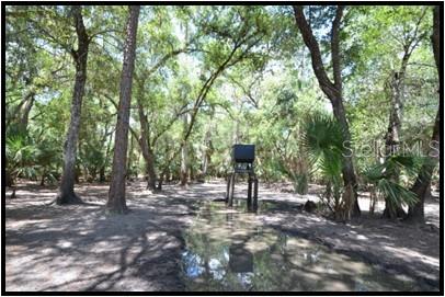 A deer feeder stands in a wooded area with a small pool of water — 7019 CROOKED CREEK LANE, ZOLFO SPRINGS, FL