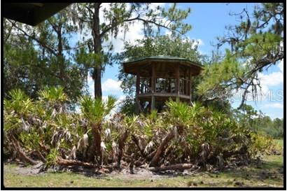 A wooden gazebo stands elevated among palm trees and pine trees under a blue sky — 7019 CROOKED CREEK LANE, ZOLFO SPRINGS, FL