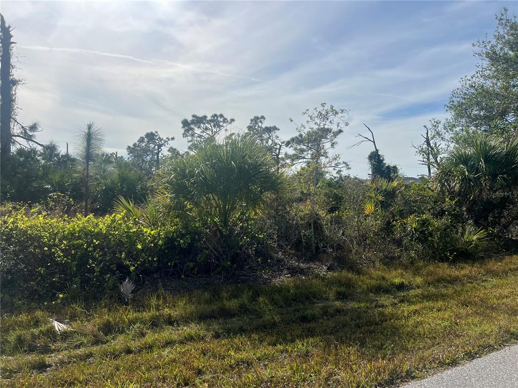A view of a vacant, wooded lot covered in dense vegetation and palm trees — 13273 ROUDING CIRCLE, PORT CHARLOTTE, FL
