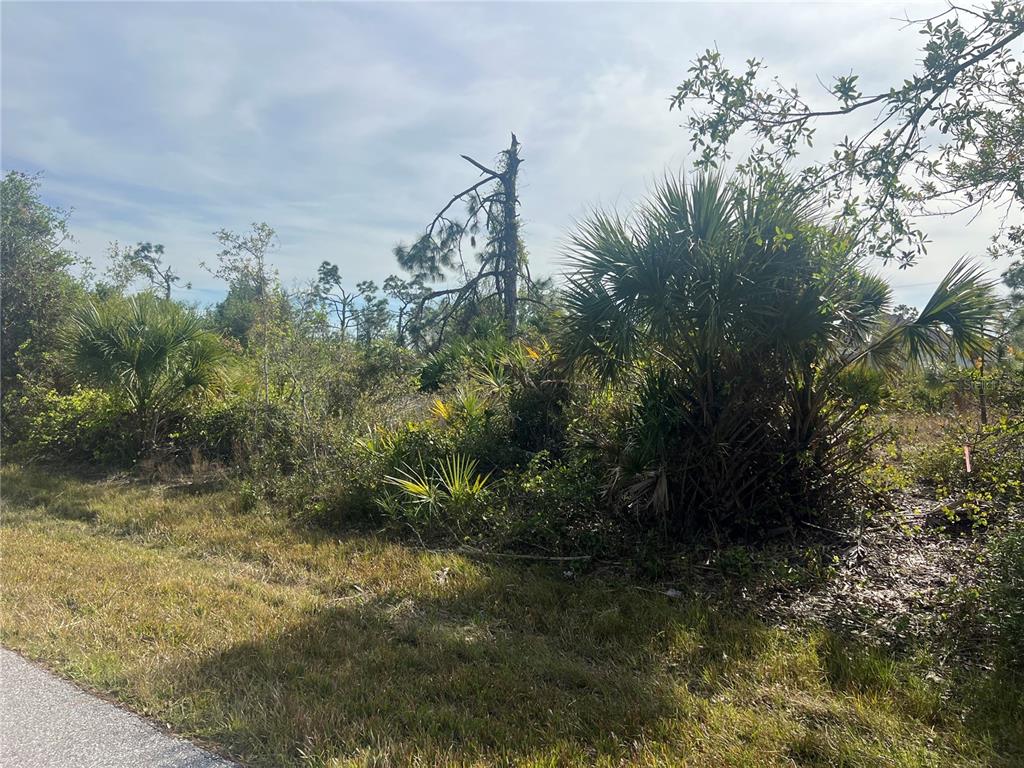 A grassy roadside leads to a dense, wooded lot with palmetto bushes and pine trees — 13273 ROUDING CIRCLE, PORT CHARLOTTE, FL