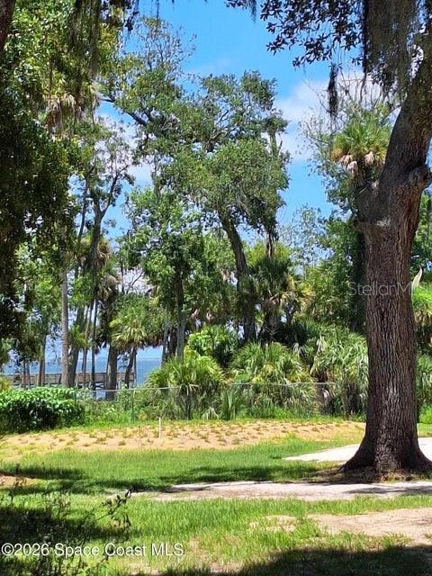 A grassy yard leads to a chain-link fence, dense trees, and a view of water — 140 BELLEWOOD STREET, TITUSVILLE, FL