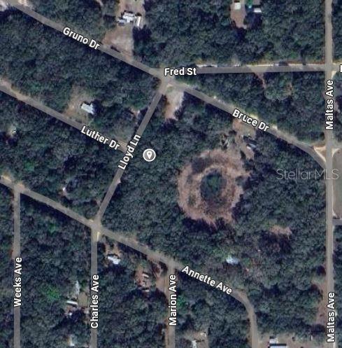 LLOYD DRIVE, INTERLACHEN, FL — photo 2 of 5