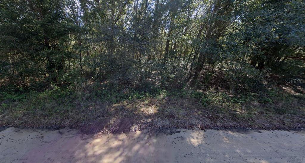 LLOYD DRIVE, INTERLACHEN, FL — photo 3 of 5