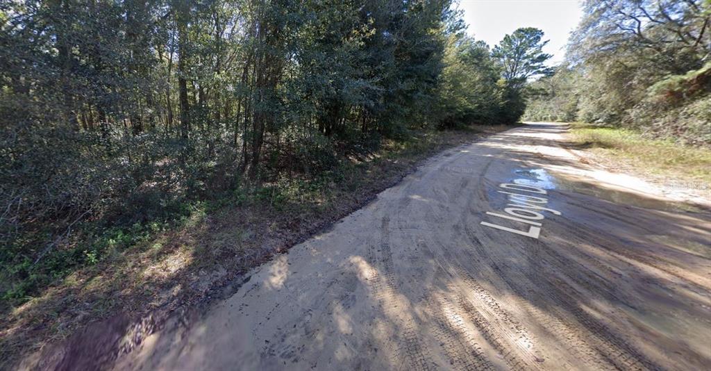 LLOYD DRIVE, INTERLACHEN, FL — photo 5 of 5