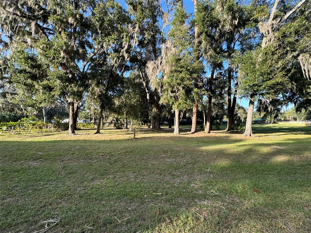 0 W HIGHWAY 318, CITRA, FL — photo 3 of 4