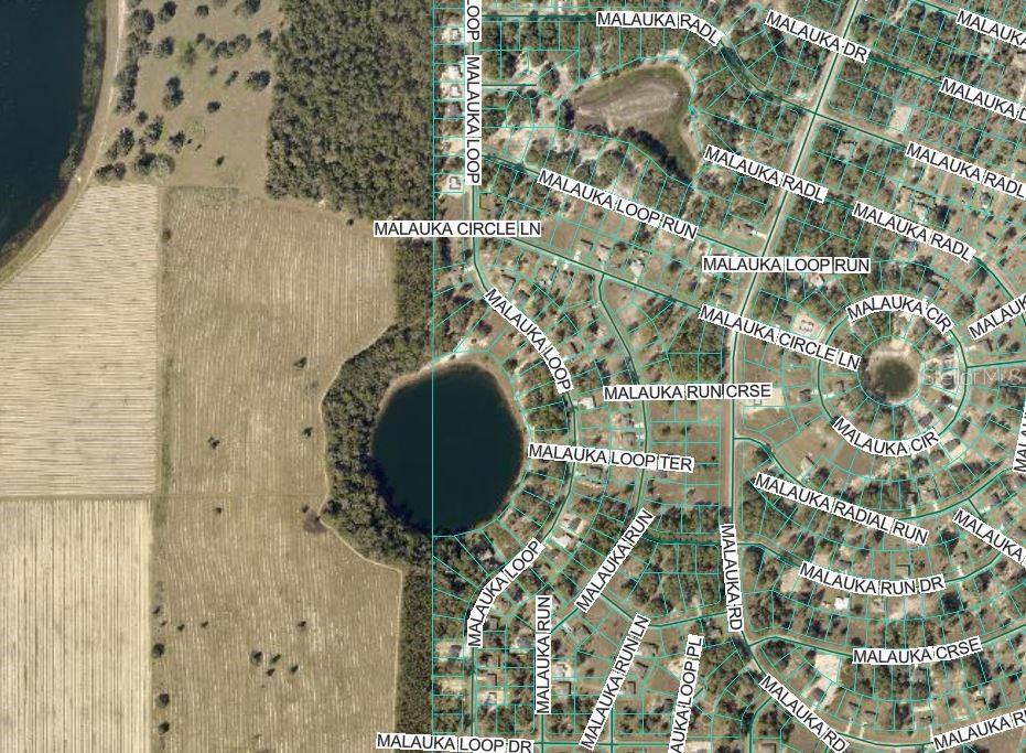 This is a map showing a residential neighborhood with a central lake — MALAUKA RUN, OCKLAWAHA, FL