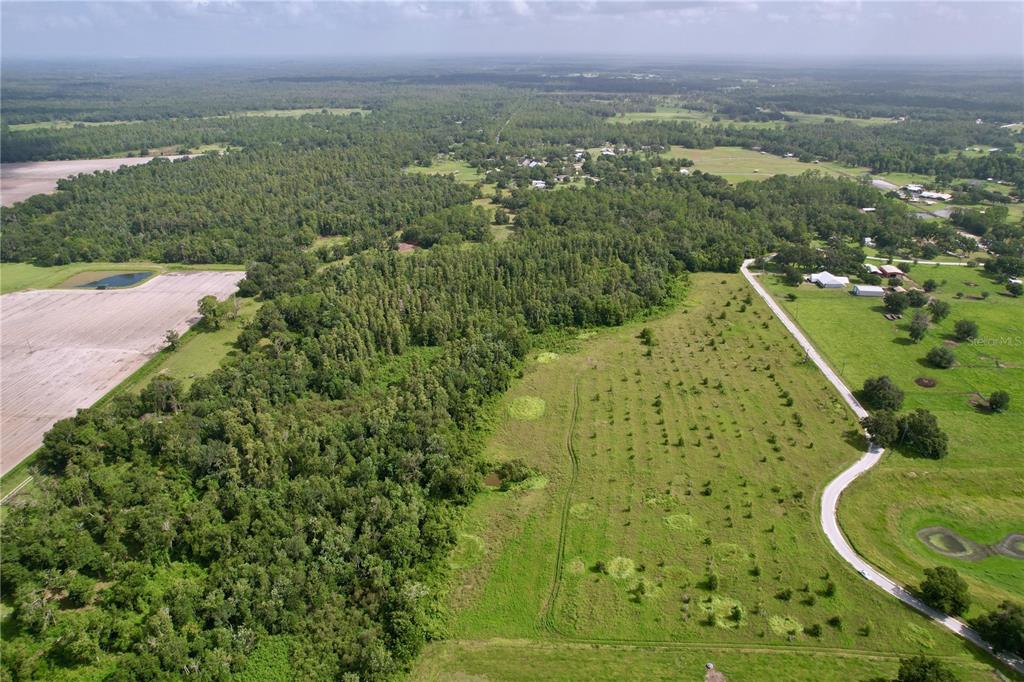 An aerial view shows a large grassy field bordered by dense forest and a road — 0 HANCOCK ROAD, LAKELAND, FL