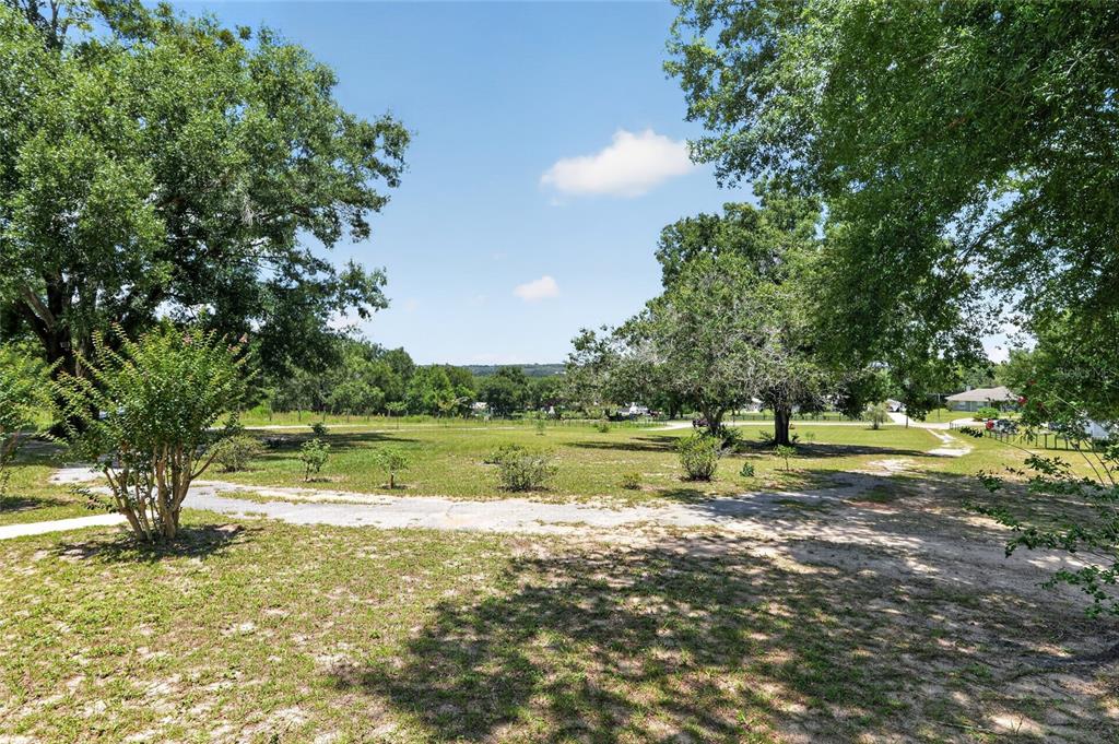 A grassy, tree-lined lot features a dirt driveway and a distant view of the horizon — 3830 GRIFFIN VIEW DRIVE, LADY LAKE, FL