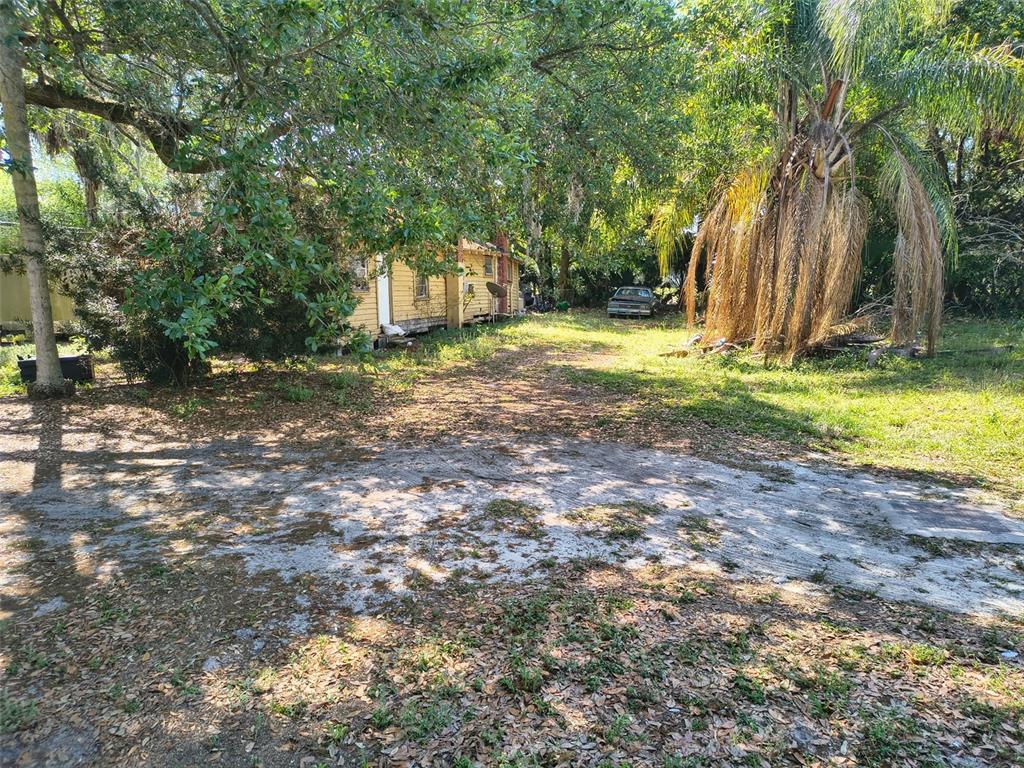 A yellow house sits on a wooded lot with a dirt driveway and a palm tree — 3551 WASHINGTON STREET, SANFORD, FL