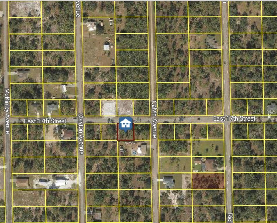 This is an aerial map view showing a vacant lot highlighted in a residential neighborhood — 204 E 17TH STREET, LEHIGH ACRES, FL