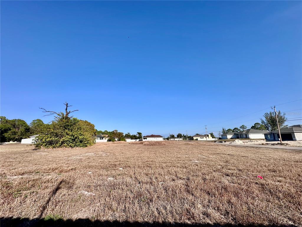 A flat, grassy vacant lot is surrounded by residential houses under a clear blue sky — 305 NE 31ST TERRACE, CAPE CORAL, FL