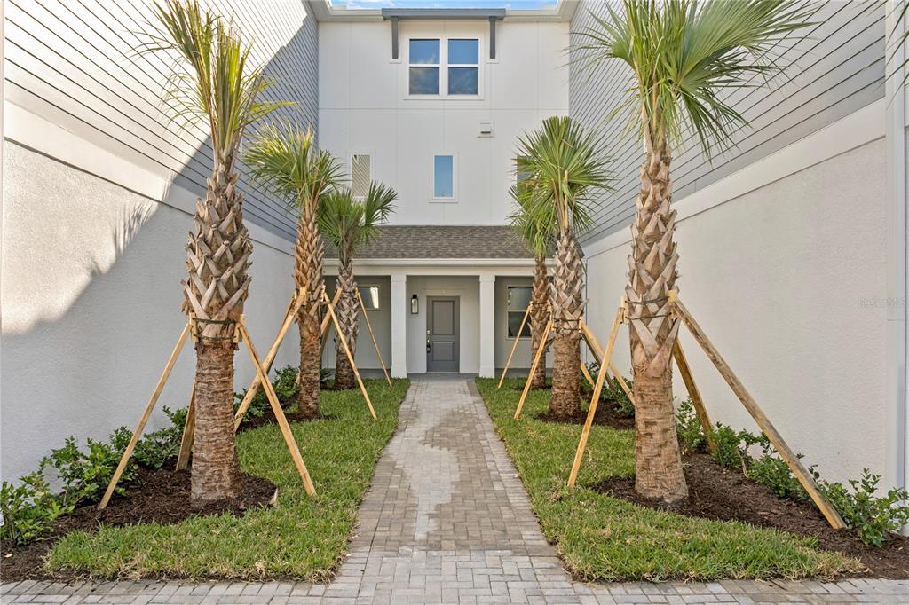 A paved walkway leads to the front entrance of a multi-story home with palm trees — 208 W FRANCES AVENUE UNIT 3, TAMPA, FL