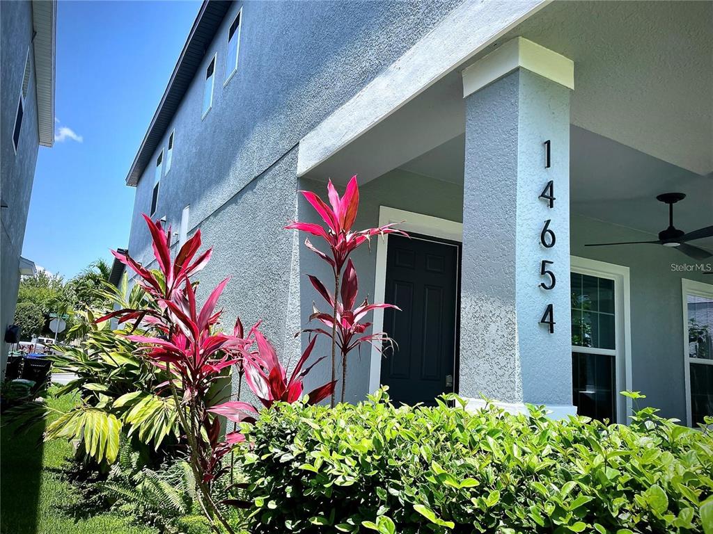 A view of a house exterior featuring a blue stucco wall, landscaping, and house numbers — 14654 WATOWAN ALLEY, WINTER GARDEN, FL