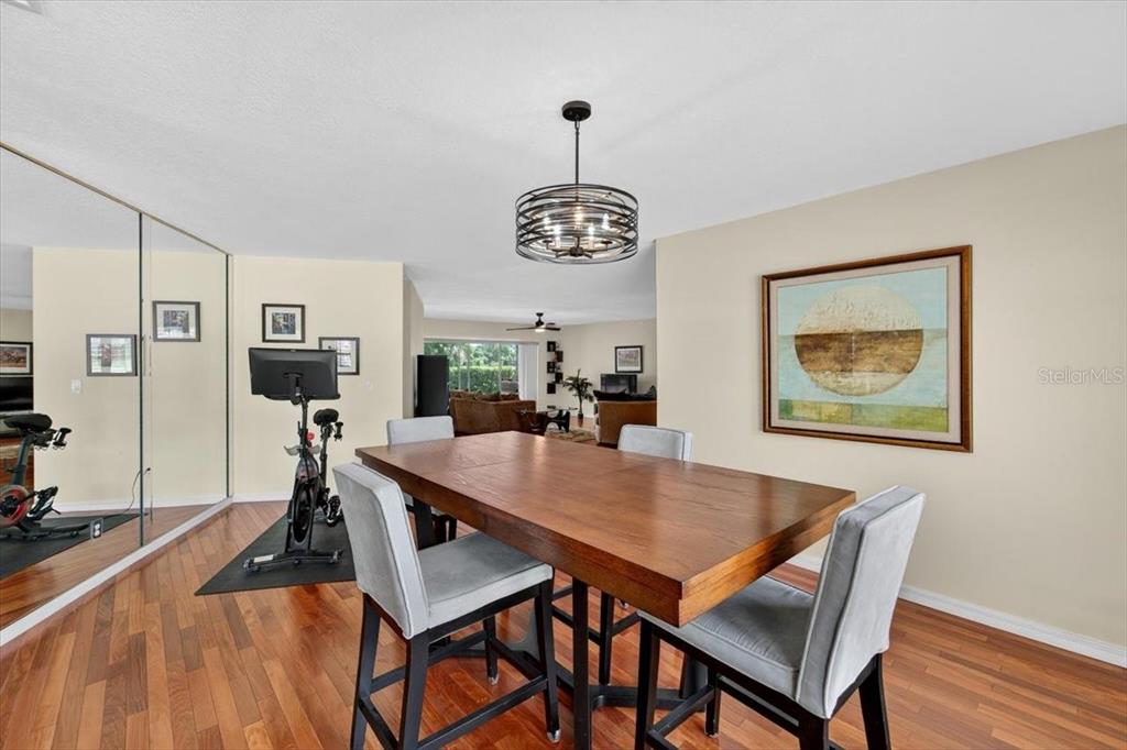 A dining area features a wooden table, gray chairs, a chandelier, and a mirrored wall — 2004 N GOLFVIEW DRIVE, PLANT CITY, FL