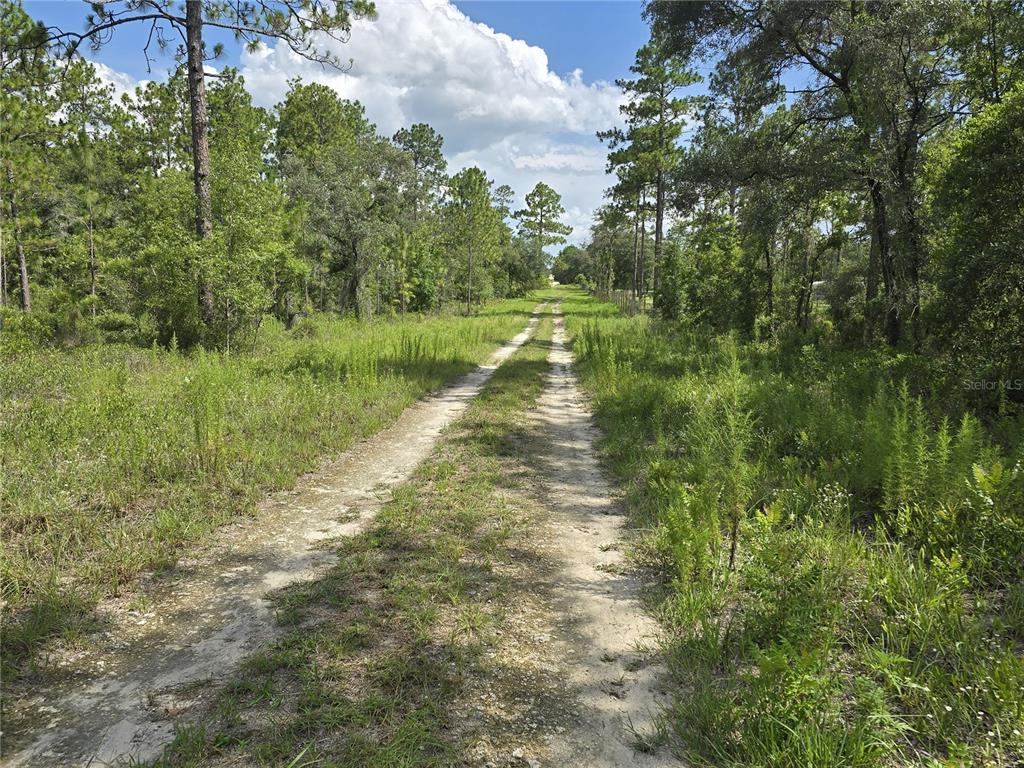 A dirt path leads through a grassy, wooded area under a partly cloudy sky — 00 NE 121ST AVENUE, WILLISTON, FL