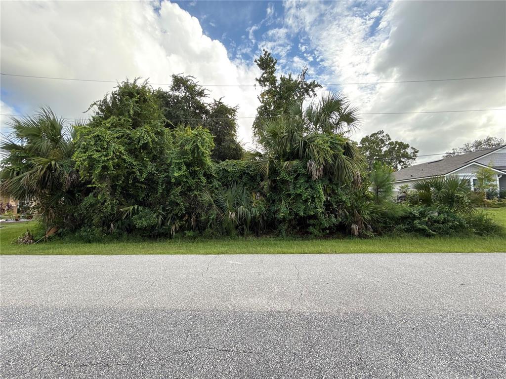 38 PINEAPPLE DRIVE, PALM COAST, FL — photo 2 of 6