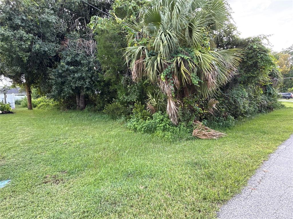 38 PINEAPPLE DRIVE, PALM COAST, FL — photo 3 of 6