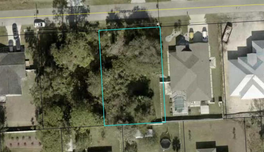 38 PINEAPPLE DRIVE, PALM COAST, FL — photo 4 of 6