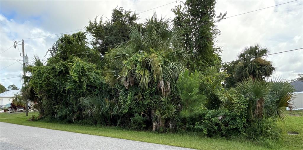 38 PINEAPPLE DRIVE, PALM COAST, FL — photo 5 of 6