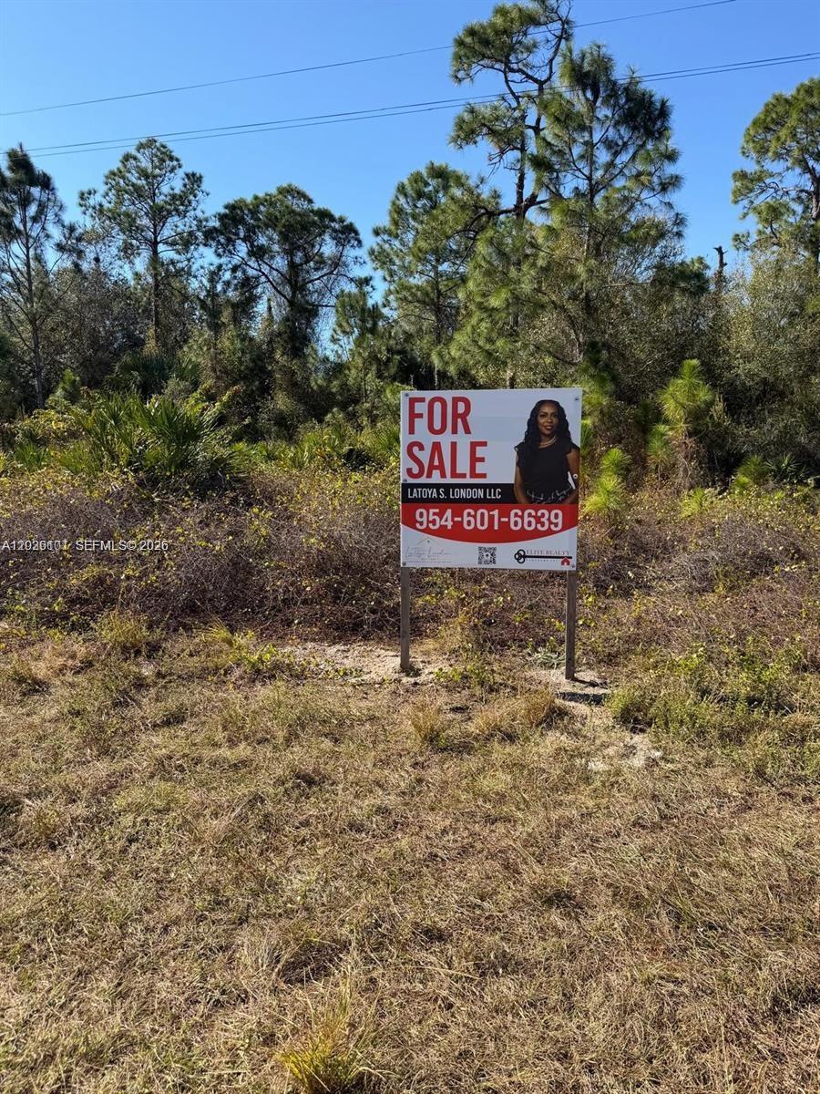 A for sale sign stands on a vacant, brush-covered lot with pine trees in the background — 216 Columbus, Lehigh Acres FL 33974, LEHIGH ACRES, FL