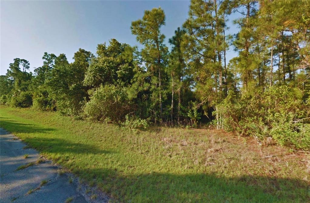 A grassy roadside area leads to a dense patch of trees and thick vegetation — KIMBERLY DRIVE, NORTH PORT, FL