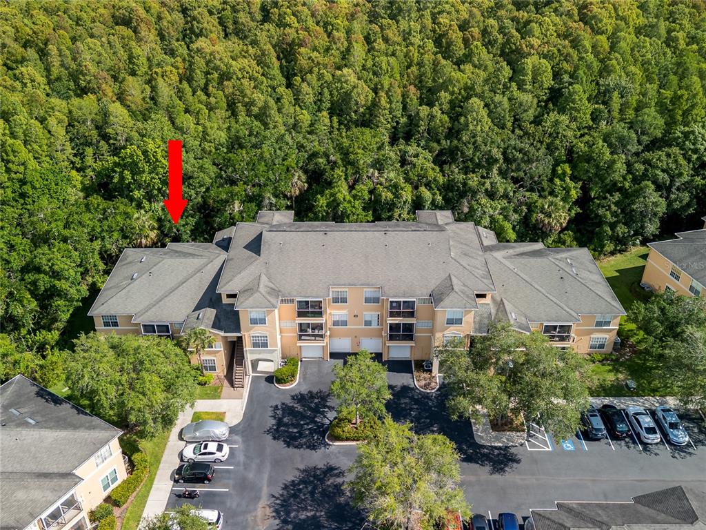 An aerial view shows a multi-story apartment building surrounded by dense woods and parking — 5125 PALM SPRINGS BOULEVARD UNIT 7108, TAMPA, FL
