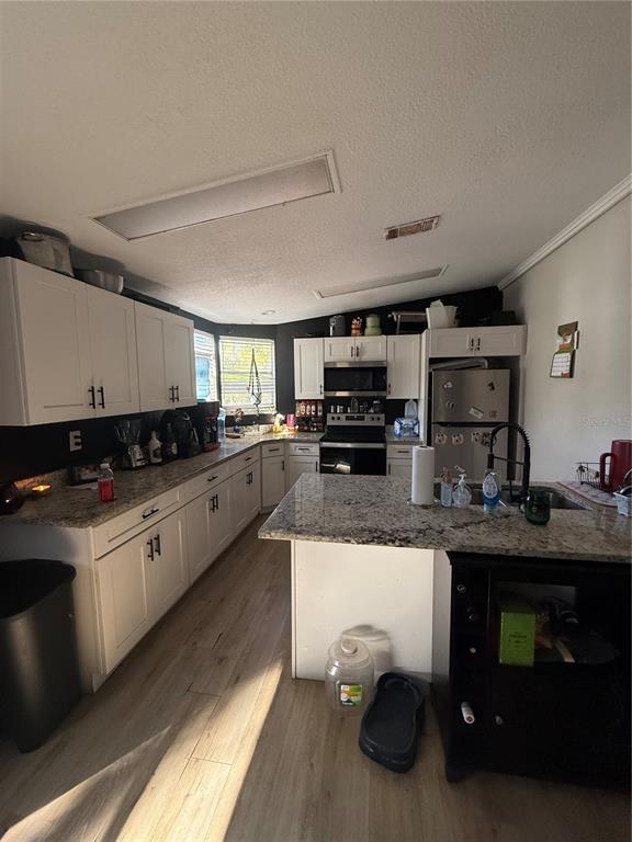 A kitchen features white cabinetry, granite countertops, stainless steel appliances, and light wood-look flooring — 8602 TREASURE ISLAND ROAD, LEESBURG, FL