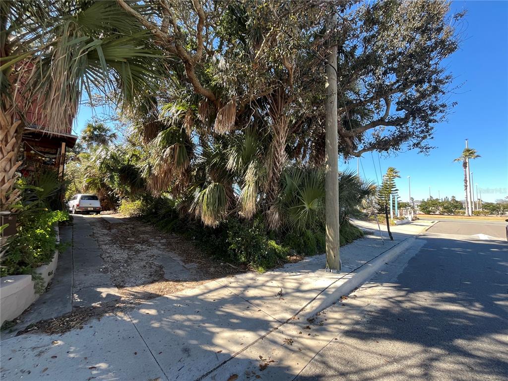 A paved driveway leads to a house partially obscured by palm trees and dense foliage — N HOLLYWOOD AVENUE, DAYTONA BEACH, FL