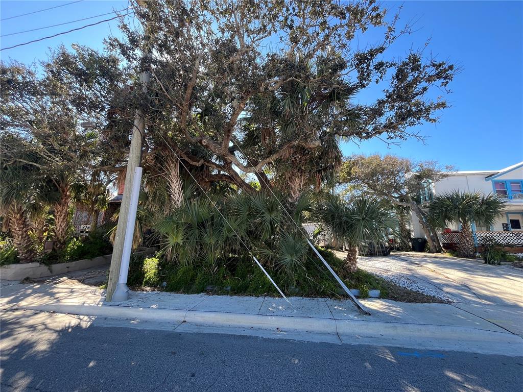 A large tree and palm plants sit in front of a house on a sunny day — N HOLLYWOOD AVENUE, DAYTONA BEACH, FL