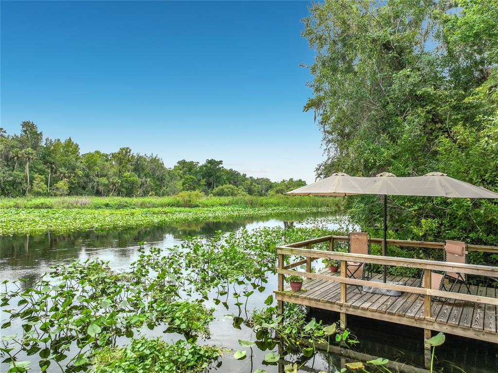 32519 OKALOOSA TRAIL, SORRENTO, FL — photo 2 of 30