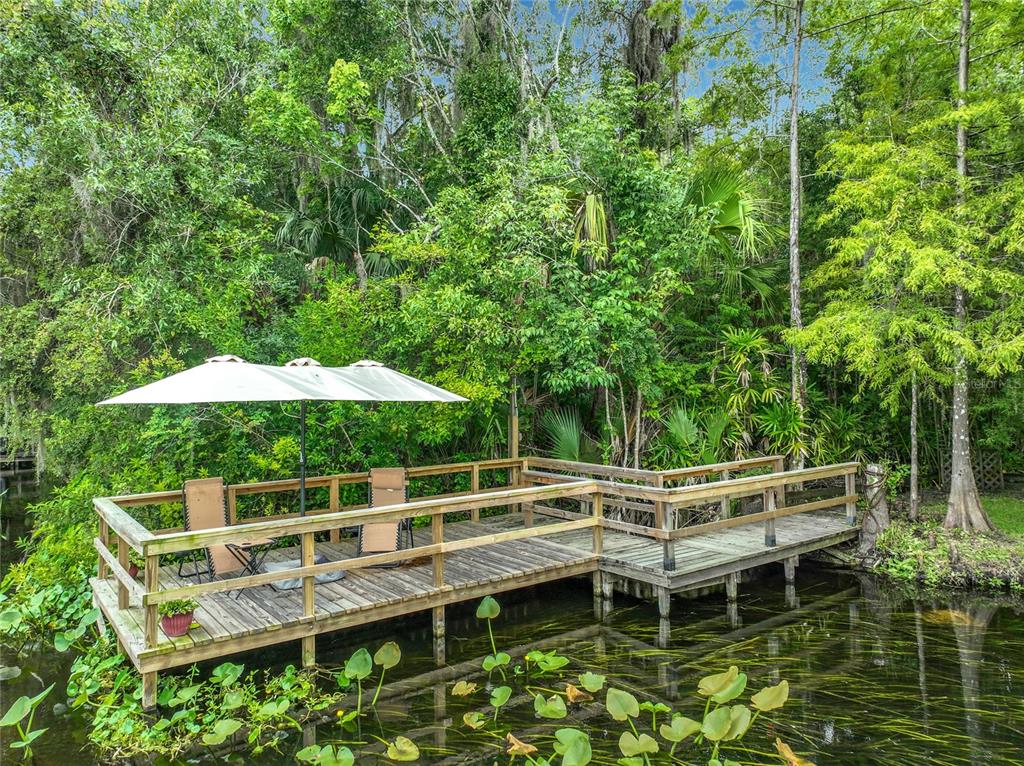 32519 OKALOOSA TRAIL, SORRENTO, FL — photo 3 of 30
