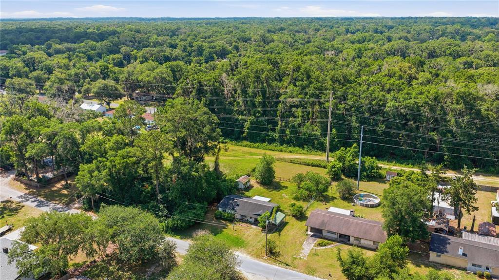 An aerial view shows two houses with large yards surrounded by dense trees and power lines — 1504 NE 31ST PLACE, OCALA, FL