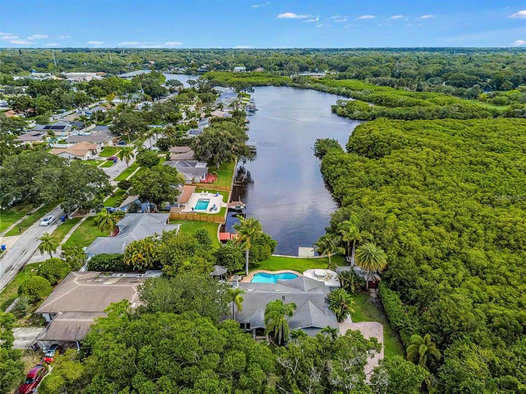 An aerial view shows a waterfront house with a pool beside a dense forest — 3225 ROSERY ROAD NE, LARGO, FL