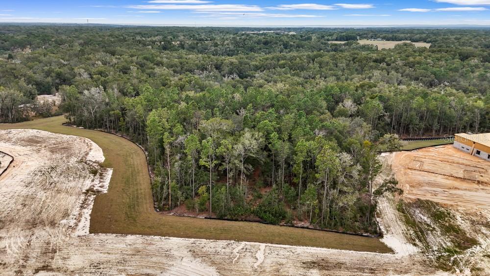 4683 HILLY HEIGHTS DRIVE, MOUNT DORA, FL — photo 3 of 9