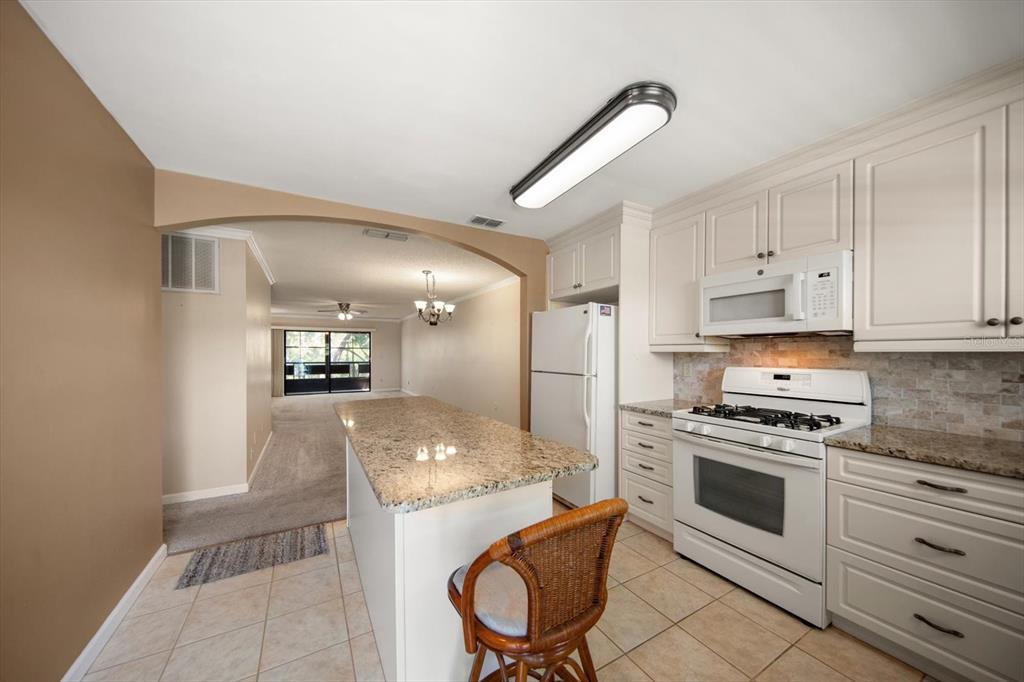 A kitchen with white cabinets, granite countertops, and an island opens into a carpeted living area — 5970 80TH STREET N UNIT 411, ST PETERSBURG, FL