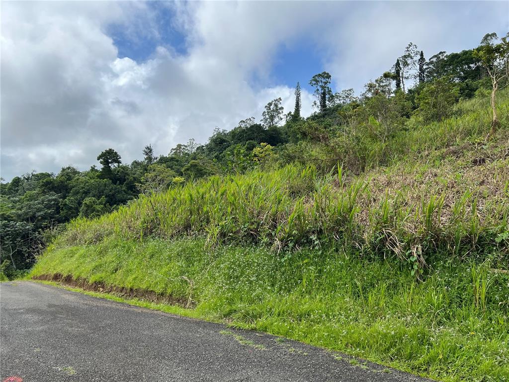 A paved road runs alongside a grassy, sloped hillside with trees under a cloudy sky — KM 0.2 INT Bo. Helechal PR 152, BARRANQUITAS, PR