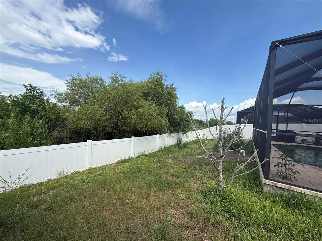 A grassy backyard features a white vinyl fence, a bare tree, and a screened pool enclosure — 11865 SUNBURST MARBLE ROAD, RIVERVIEW, FL