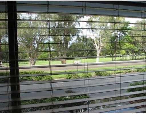 A view of a grassy park and road seen through horizontal window blinds — 1345 DREW STREET UNIT 5, CLEARWATER, FL